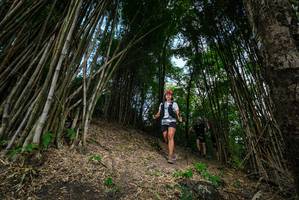 BIB: 
                            <button type="button" onclick="openModal(19395708)" class="btn btn-primary btn-sm float-right btn-popup" data-toggle="modal" data-target=".modal-high-quality">
                        <i class="fas fa-shopping-cart"></i> Add to Cart
                    </button>
                                            <button type="button" onclick="isThisMe(19395708, true)" class="btn btn-success btn-sm float-right btn-popup btn-isme hidden" data-toggle="tooltip" data-placement="bottom" title="นี่คือรูปของคุณใช่ไหม คลิกที่นี่เพื่อเอาเข้าอัลบั้ม">
                        <i class="fas fa-plus"></i> Add to album
                    </button>
                    <button type="button" onclick="isThisMe(19395708, false)" class="btn btn-warning btn-sm float-right btn-popup btn-isnotme hidden">
                        <i class="fas fa-ban"></i> Remove from album
                    </button>